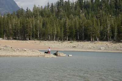 DSC_2973 (Large).JPG